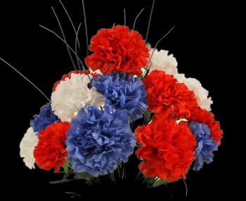 Red/White/Blue Carnation x 14 18" 