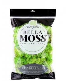 Bella Reindeer Moss Chartreuse 8 oz Bag