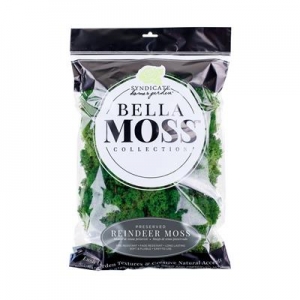 Bella Reindeer Moss Dark Green 8 oz Bag