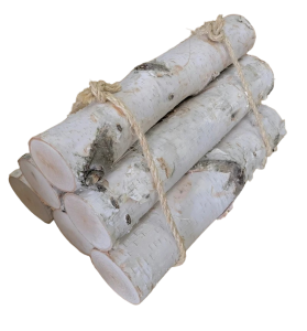 Birch Logs Bundled with Rope S/6
