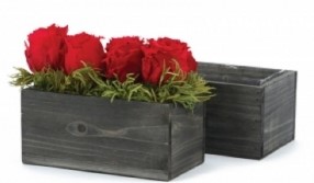 Black Wooden Rectangular Centerpiece with Liners S/2 9", 8"