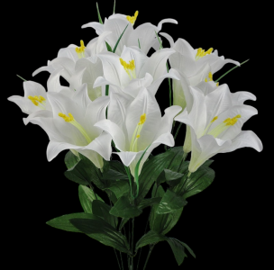 Easter Lily x 6  15", 3.5" Blooms