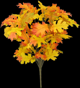 Gold/Orange Oak Leaf Bush x 14  23" 