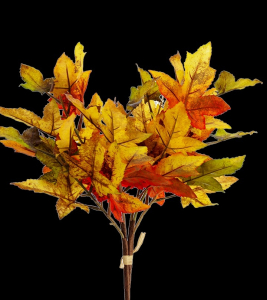 Gold/Red/Green Maple Leaf Bundle  20" 