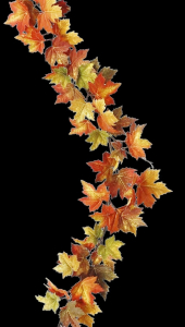 Maple Leaf Garland 6' 