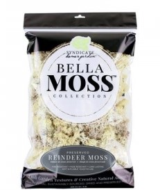 Natural Bella Reindeer Moss 8 oz Bag