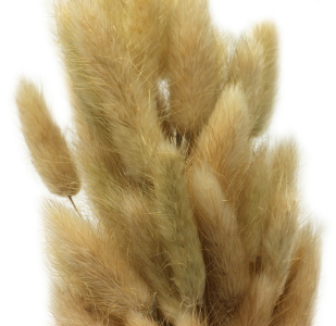 Natural Bunny Tail Bunch 23'' 