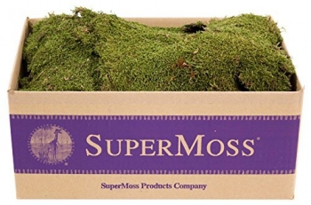 Natural Sheet Moss 4# Box