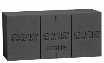 Oasis Midnight Maxlife Standard Foam Blocks S/24 New Black Biodegradable Floral Foam