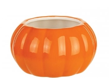 Orange Glossy Ceramic Pumpkin
5", 3" Opening