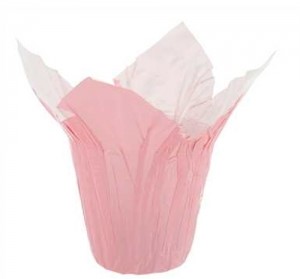 Pearl Rose Pink Plant Kwik Cover 2 Sizes 