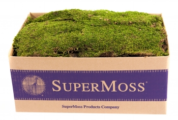Preserved Sheet Moss 4# Box