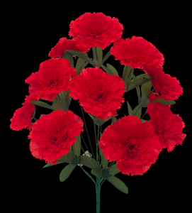 Red Carnation x 14  18" 