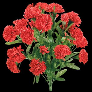 Red Mini Carnation x 14  17'' 