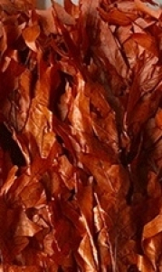 Rust Transparent Oak Leaves 1lb 