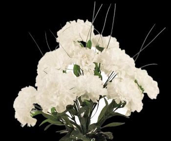 White Carnation x 14  18'' 