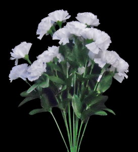 White Mini Carnation x 12  18" 