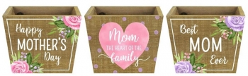 Wooden Mother's Day Planter S/3
5.75" x 4"