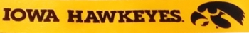 #5 Gold Iowa Hawkeye Ribbon 
1" x 25yd