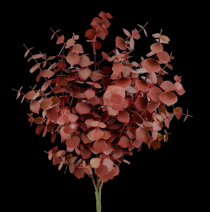 Red/Burgundy Eucalyptus x 6 
18"