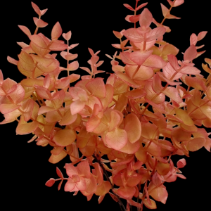 Red/Pink Eucalyptus x 5 
14"