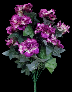 Purple Carnation x 12 
21"