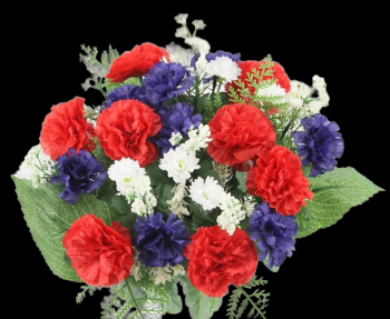 Red/White/Blue Mixed Baby Carnation x 16
14"