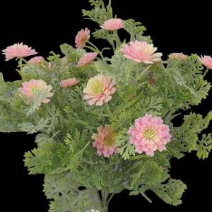 Pink/Cream Mini Daisy with Foliage x 7
13"