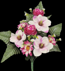 Beauty/White Mixed Magnolia Rose Daisy Half Bush 
18"