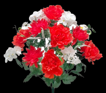 Red/White Mixed Peony Mum Hydrangea x 24 
25"