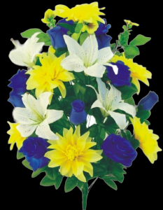 Blue/Yellow Mixed Color Fast Dahlia Lily Rose Bud x 30 
27"