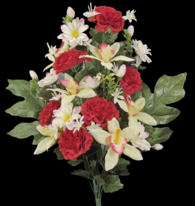 Red/Cream/Green Mixed Cabbage Rose Orchid Half Bush x 18 
24"