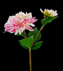White/Hot Pink Real Touch Dahlia Spray x 2 
22"
