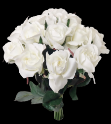 White Rose Pick S/12 
7"