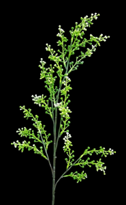 Green Seeded Flower Spray S/6
30"