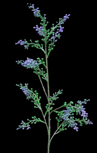 Purple Seeded Flower Spray S/6
30"