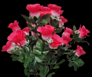 Beauty Giant Rose Bud with Gyp x 24 
24"