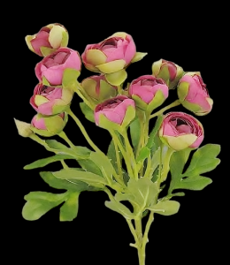 Beauty Mini Ranunculus Stem 
22"