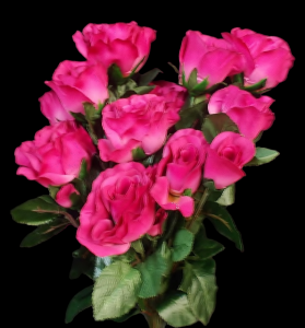 Beauty Rose Bud x 12 
21"