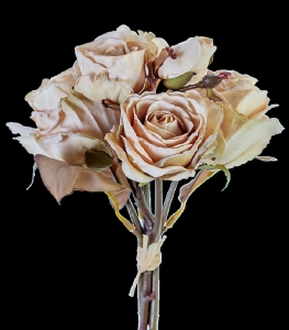 Beige Dried Mixed Rose Hydrangea Bundle x 4 
12"
