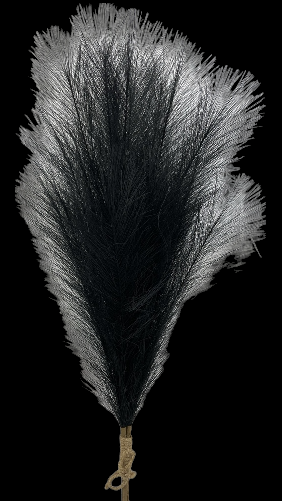 Black Feather Grass Bundle x 3
28"