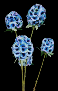 Blue Allium Spray x 5 
27"