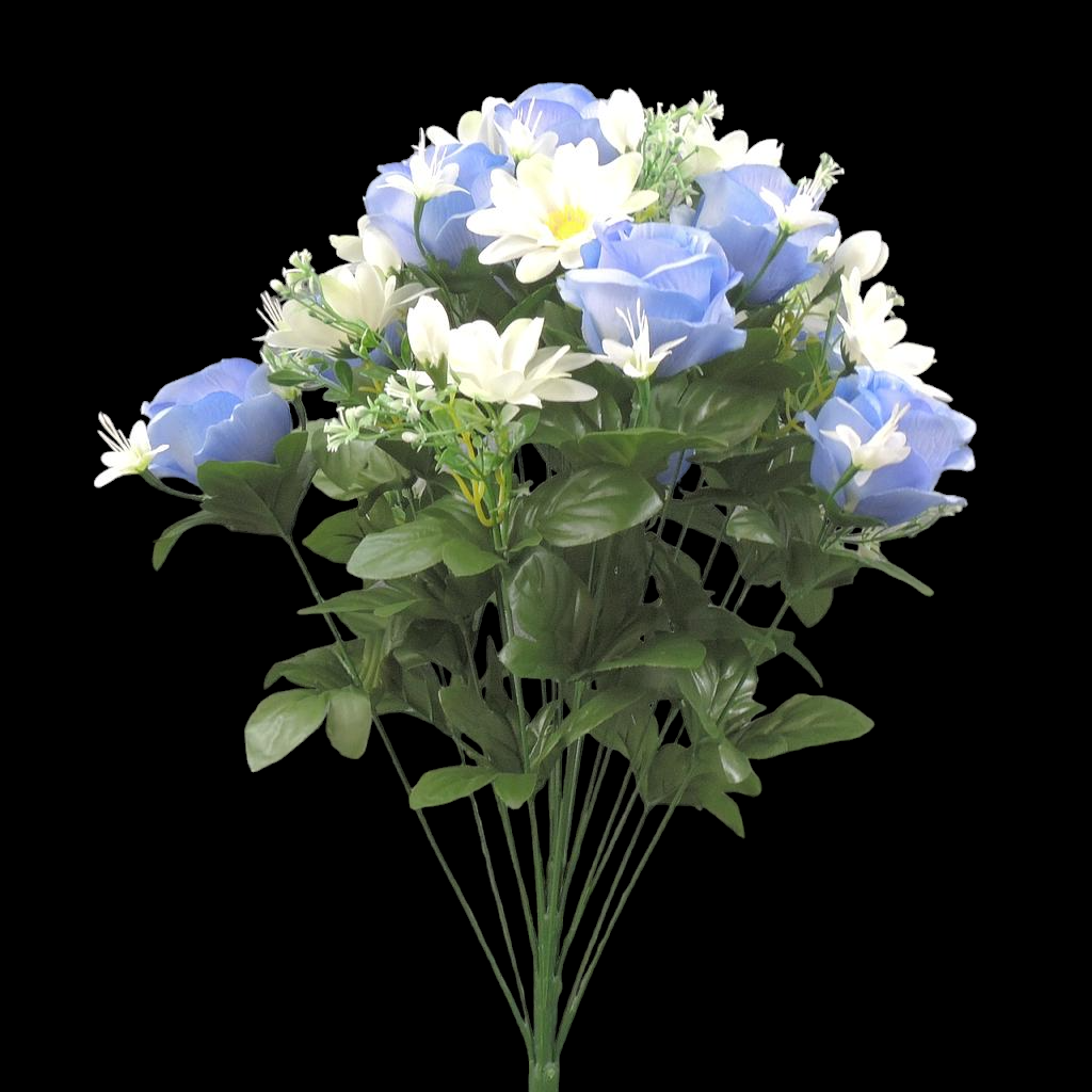 Blue/Cream Rose Daisy Bush x 21 
24"