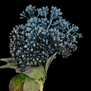 Blue Hydrangea Seed Bundle x 3 

