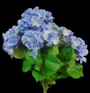 Blue Hydrangea x 7 
23"
