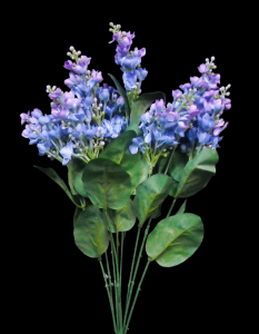 Blue Lilac x 9 
19"