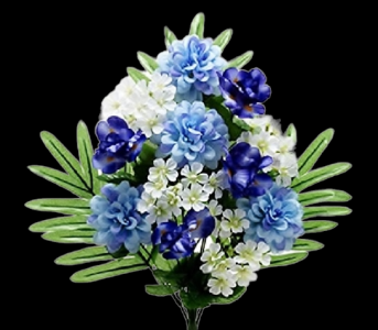 Blue Mixed Iris Marigold Half Bush 
18"
