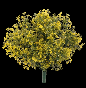 Boxwood Flower Filler Bush
14"