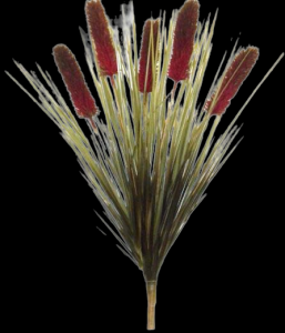 Burgundy Cattail x 5 Large 
34"
NO LONGER AVAILABLE 
