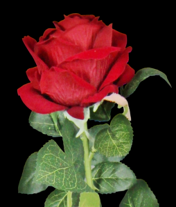 Burgundy Velvet Finish Rose Stem
 24", 3.5" Bloom
